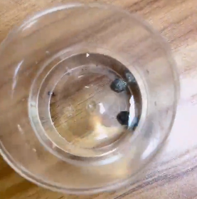 <a href='http://www.hrgnw.cn' title='危險(xiǎn)品貨代' >危險(xiǎn)品貨代</a>